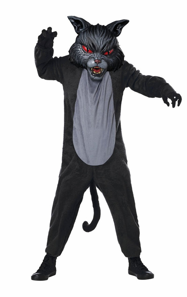 Kids Scary Cat Fight Costume - Simply Fancy Dress