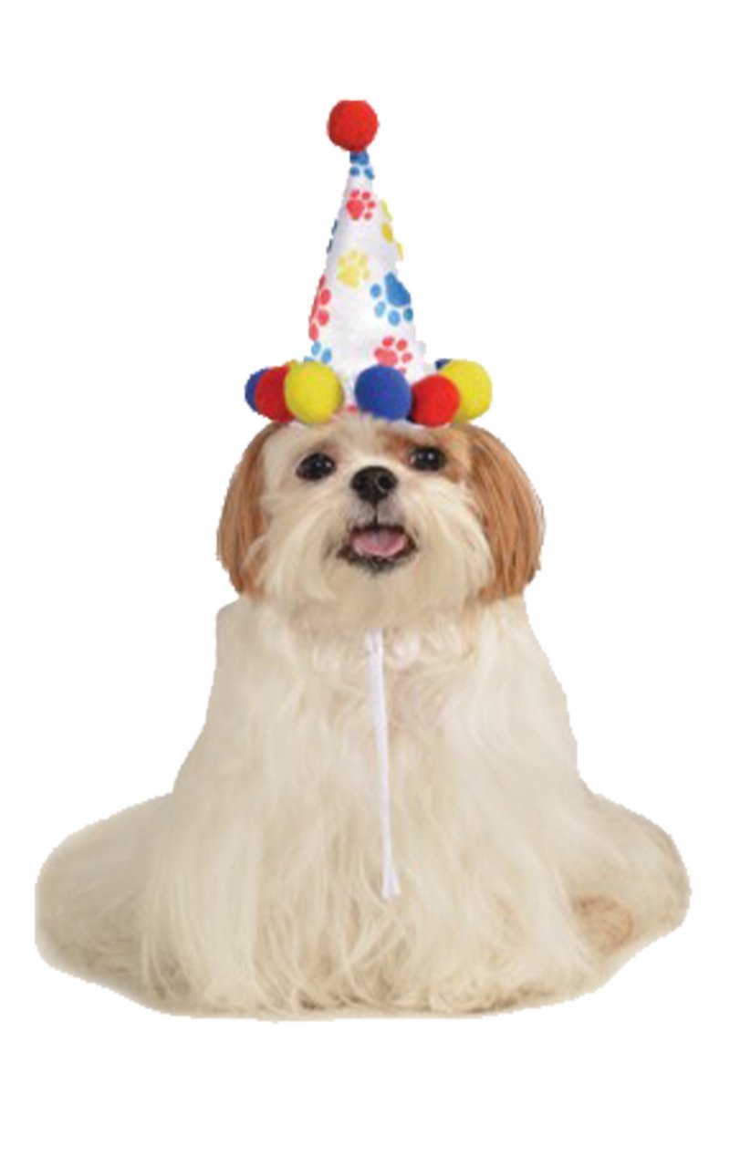 Paw Print Birthday Hat - Simply Fancy Dress